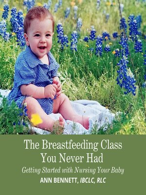 cover image of The Breastfeeding Class You Never Had